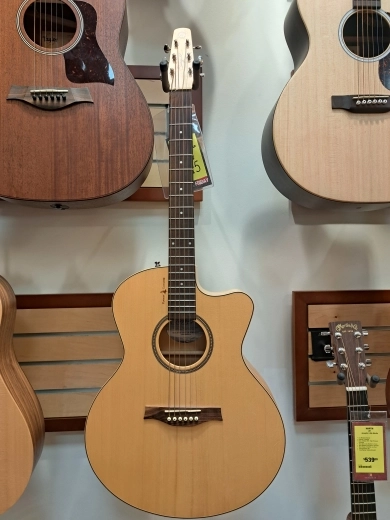 Seagull Guitars Natural Elements Mini-Jumbo